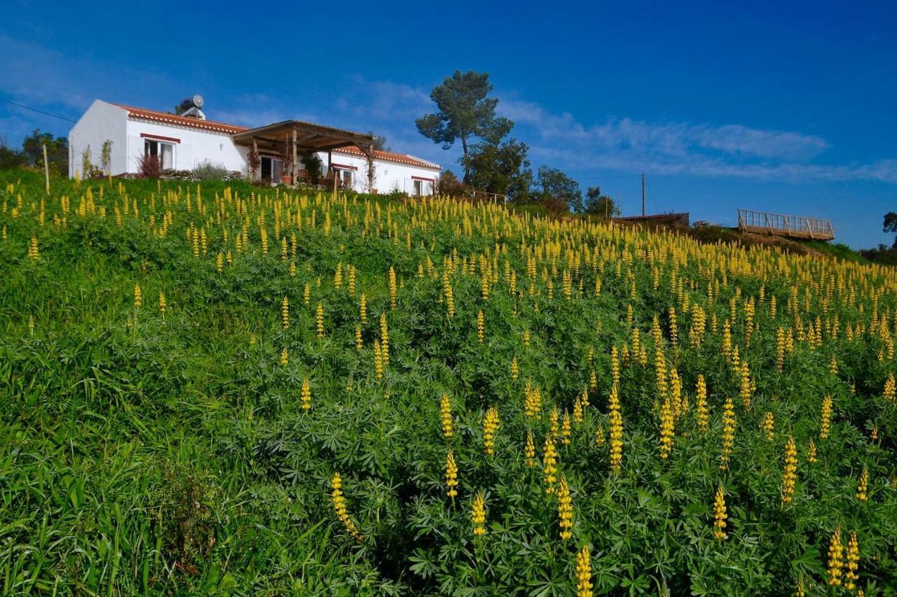 Cal Velho - Holiday Lodge São Luis Eksteriør billede